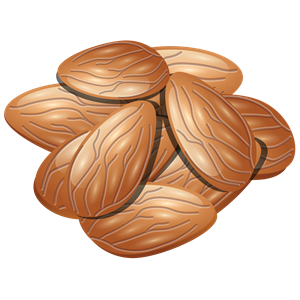 Almond PNG-50636